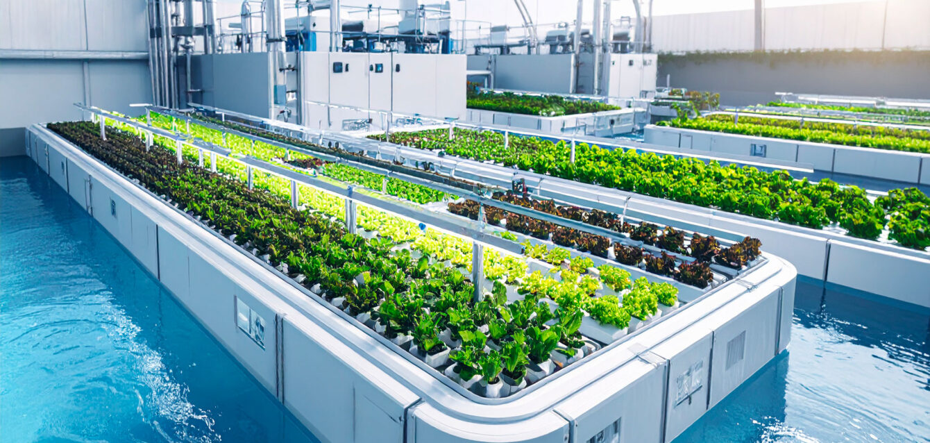 salumificio_pedrazzoli_post_acqua_02