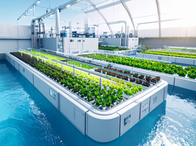 salumificio_pedrazzoli_post_acqua_02